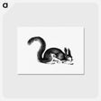 アートポストカード-Abert's Squirrel
 - 大英図書館 Postcard.