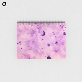 3-10_COVID-19_memo