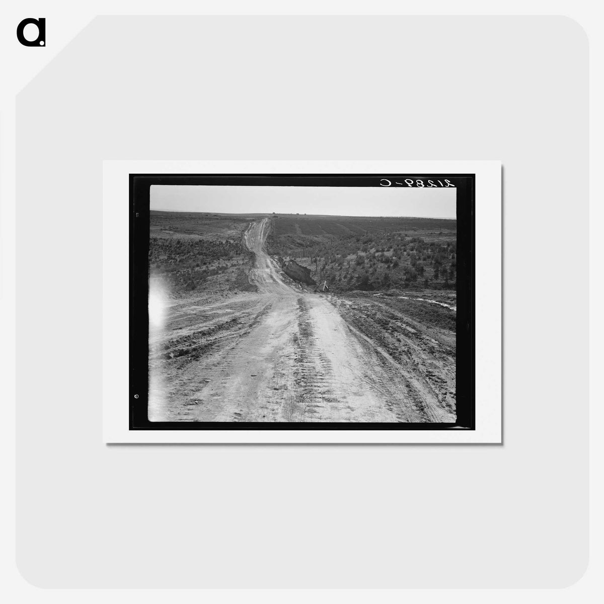 3-10_Dorothea-Lange_hagaki