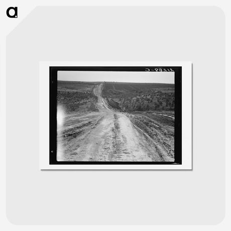3-10_Dorothea-Lange_hagaki