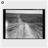 3-10_Dorothea-Lange_picture-crop