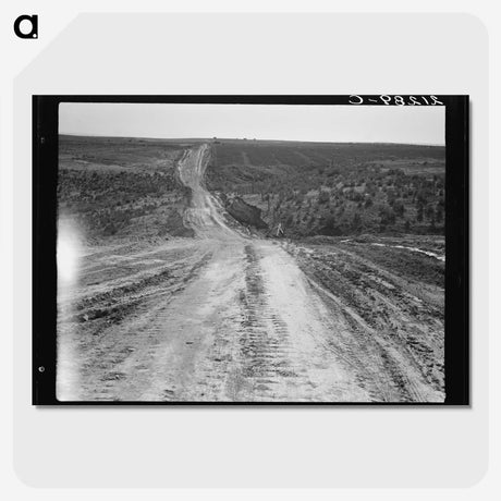 3-10_Dorothea-Lange_picture-crop