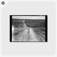 3-10_Dorothea-Lange_postcard