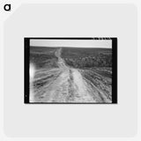 3-10_Dorothea-Lange_postcard