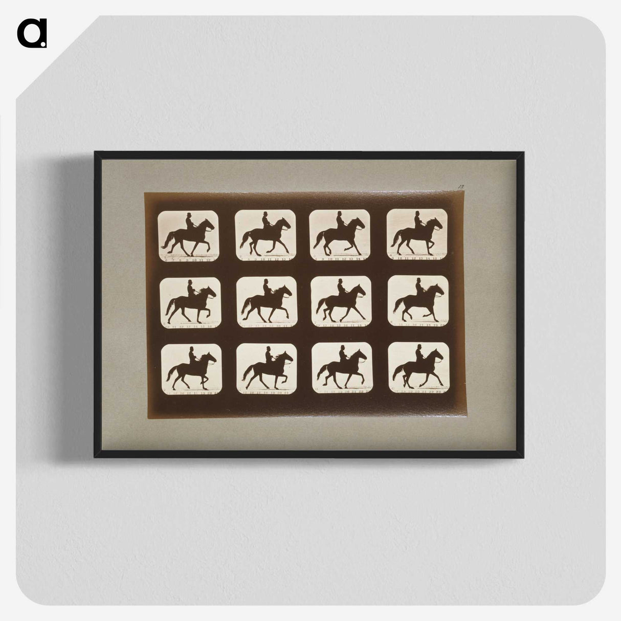 3-10_Eadweard-Muybridge_blk-crop