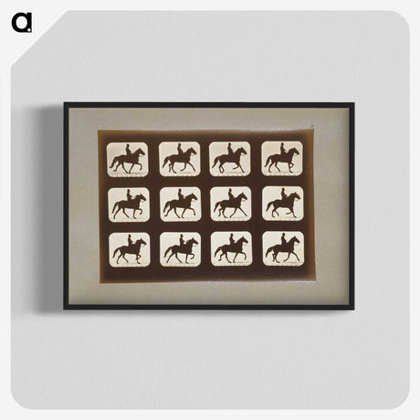 3-10_Eadweard-Muybridge_blk-crop