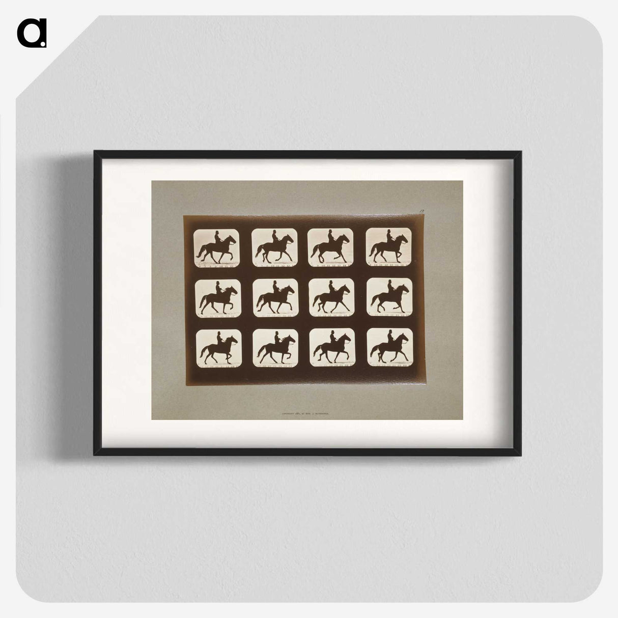 3-10_Eadweard-Muybridge_blk