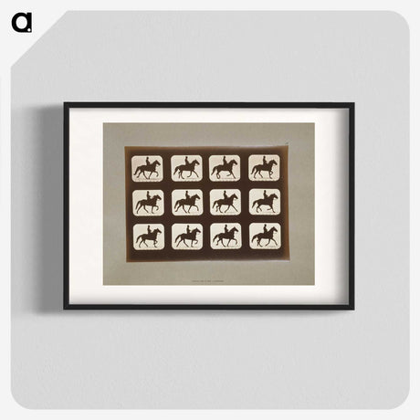 3-10_Eadweard-Muybridge_blk