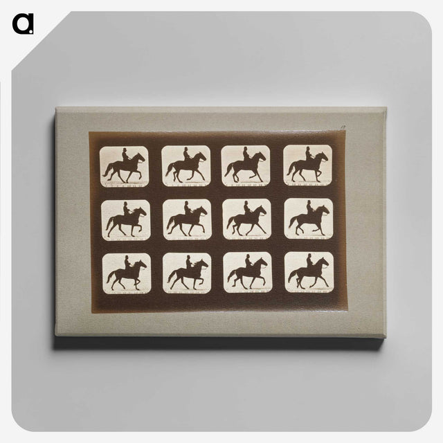 3-10_Eadweard-Muybridge_canvas