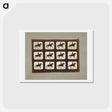 アートポストカード-Horses Ambling
 - エドワード マイブリッジ Postcard.