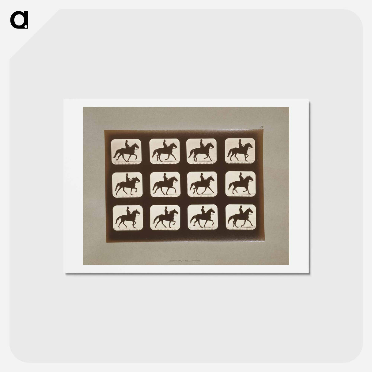 アートポストカード-Horses Ambling
 - エドワード マイブリッジ Postcard.