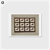 アートポストカード-Horses Ambling
 - エドワード マイブリッジ Postcard.