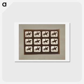アートポストカード-Horses Ambling
 - エドワード マイブリッジ Postcard.