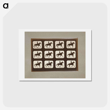 アートポストカード-Horses Ambling
 - エドワード マイブリッジ Postcard.