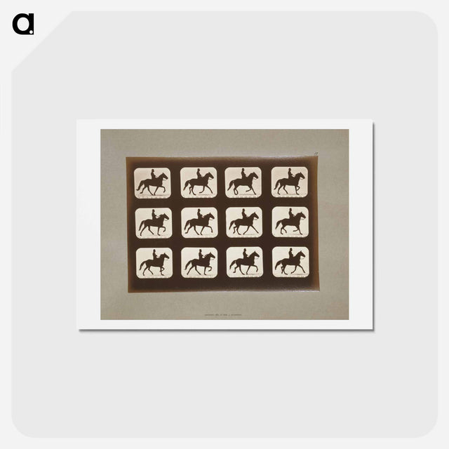 アートポストカード-Horses Ambling
 - エドワード マイブリッジ Postcard.