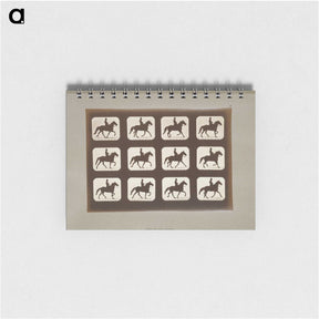 3-10_Eadweard-Muybridge_memo
