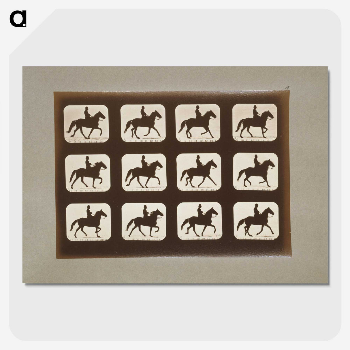 3-10_Eadweard-Muybridge_picture-crop