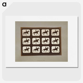 3-10_Eadweard-Muybridge_picture