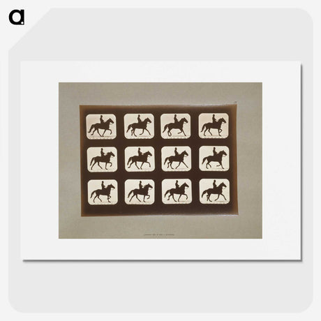 3-10_Eadweard-Muybridge_picture