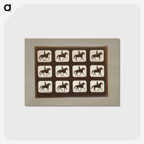 3-10_Eadweard-Muybridge_postcard