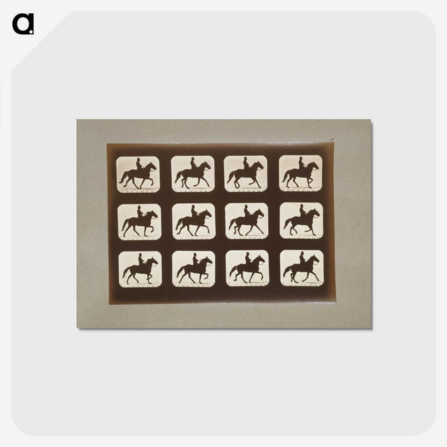 3-10_Eadweard-Muybridge_postcard