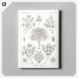 3-10_Ernst-Haeckel_canvas