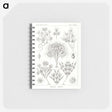 3-10_Ernst-Haeckel_memo