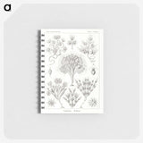 3-10_Ernst-Haeckel_memo