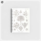 アートメモ帳-Flagellata–Geiklinge from Kunstformen der Natur - エルンスト ヘッケル Memo.