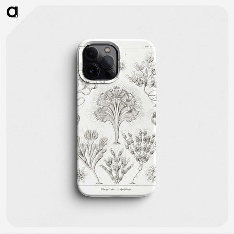 3-10_Ernst-Haeckel_phone