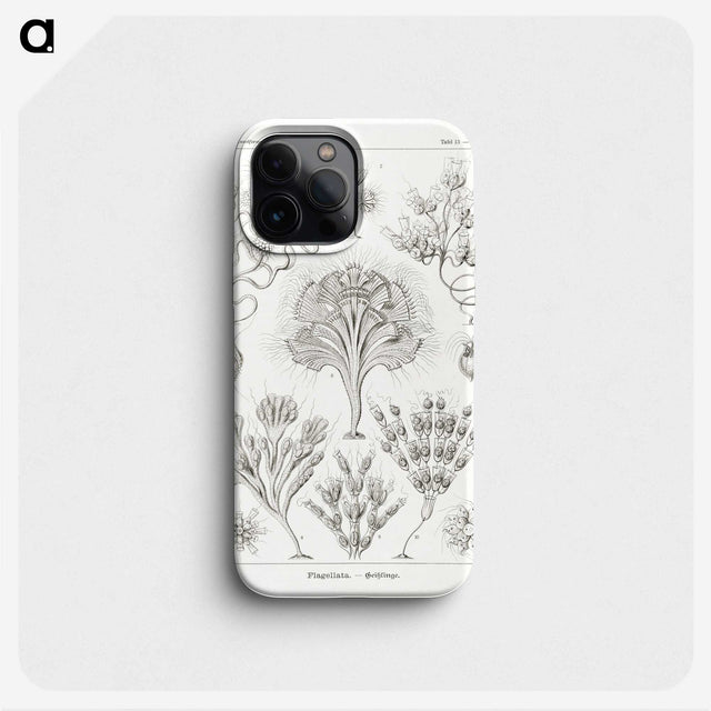 3-10_Ernst-Haeckel_phone