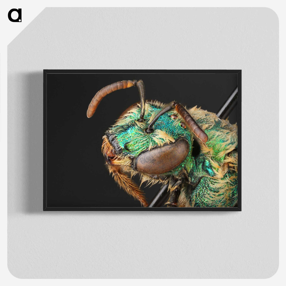 3-10_Insects-Unlocked-Project_blk-crop