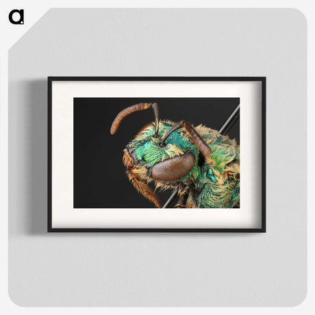 3-10_Insects-Unlocked-Project_blk