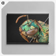 3-10_Insects-Unlocked-Project_canvas