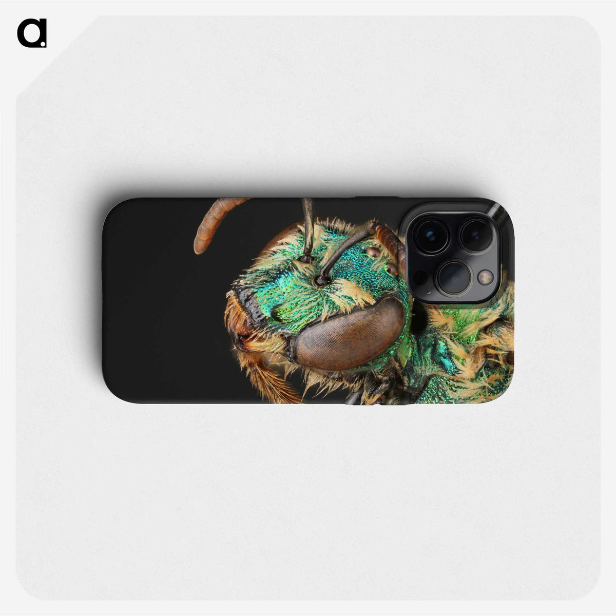 3-10_Insects-Unlocked-Project_phone