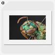 3-10_Insects-Unlocked-Project_picture
