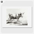 3-10_Jean-Bernard_picture