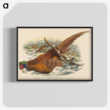3-10_John-Gould_blk-crop