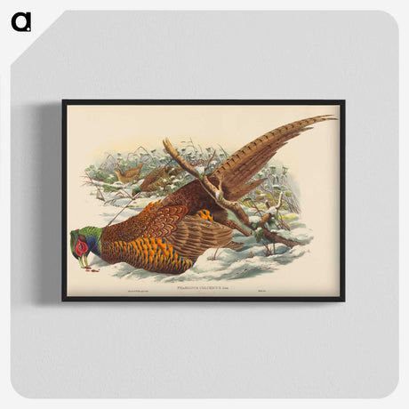 3-10_John-Gould_blk-crop