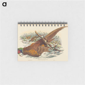 3-10_John-Gould_memo