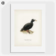 3-10_Magnus-von-Wright_picture