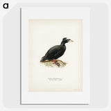 3-10_Magnus-von-Wright_picture
