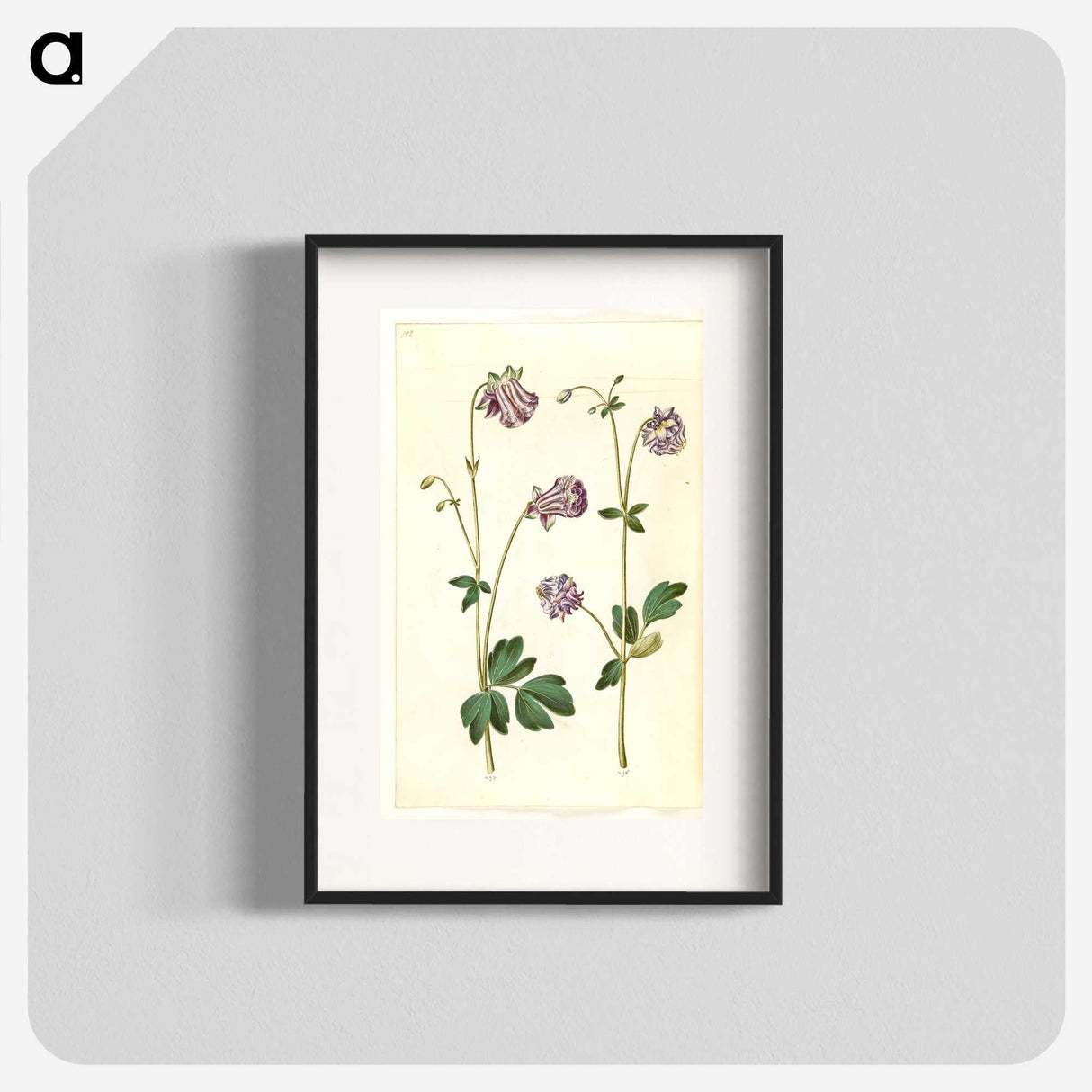 3-10_Maria-Sibylla-Merian_blk