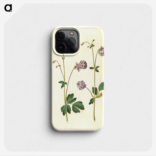 3-10_Maria-Sibylla-Merian_phone