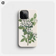 3-10_Mary-Vaux-Walcott_phone
