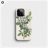 3-10_Mary-Vaux-Walcott_phone