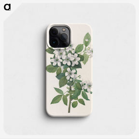 3-10_Mary-Vaux-Walcott_phone