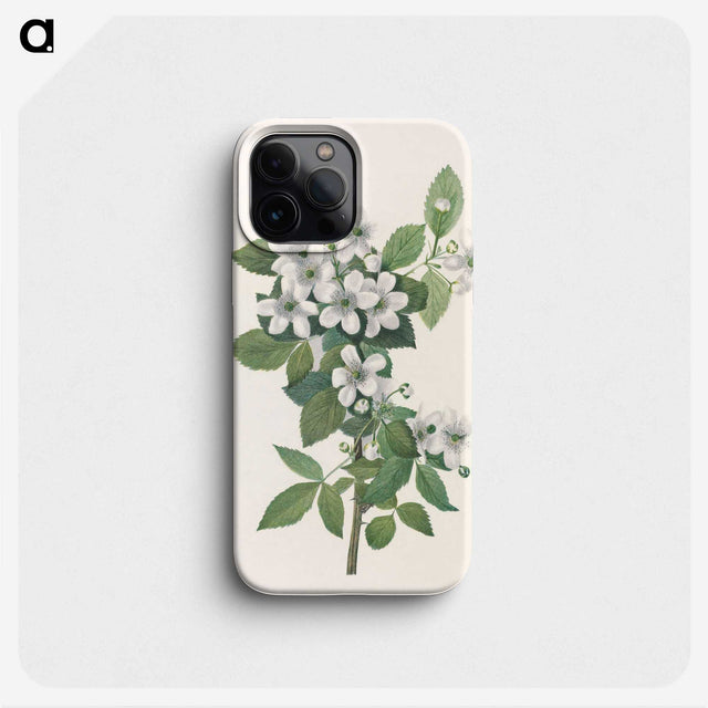 3-10_Mary-Vaux-Walcott_phone