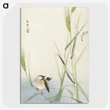 3-10_Ohara-Koson_picture-crop