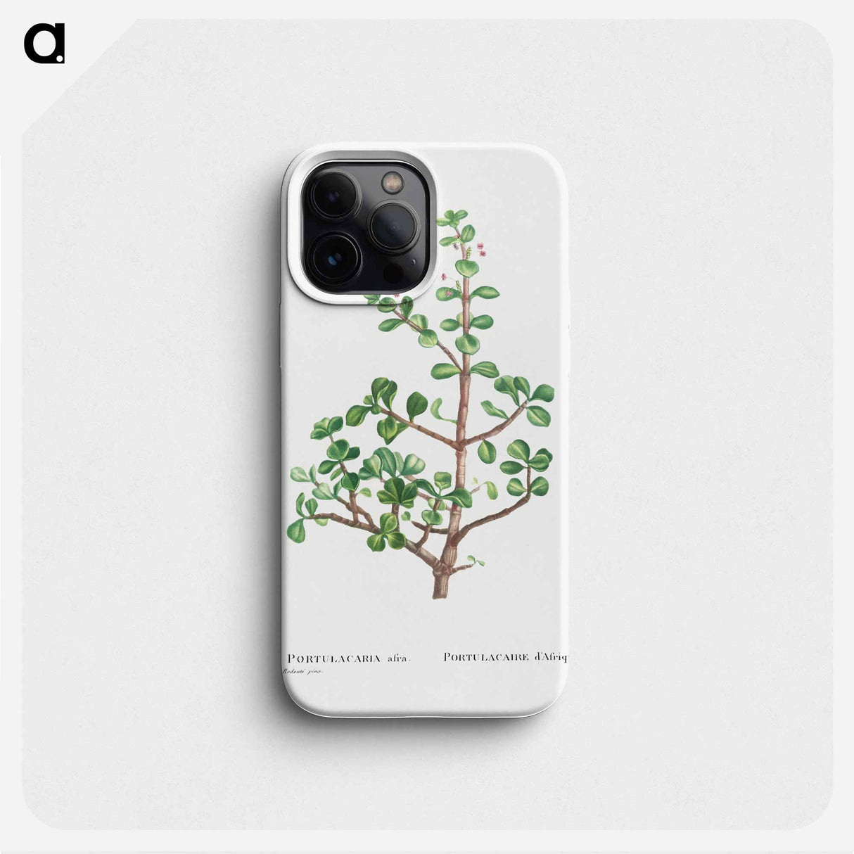 Portulacaria Afra (Elephant Bush) - Pierre Joseph Redouté Phone Case.